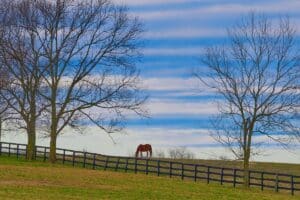 Americans Are Moving to Rural Alabama and Georgia