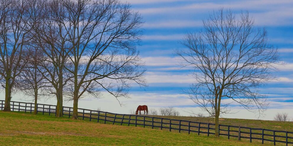 Americans Are Moving to Rural Alabama and Georgia