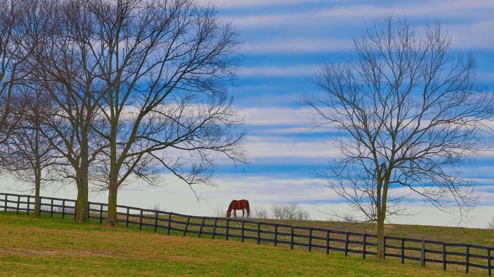 Americans Are Moving to Rural Alabama and Georgia