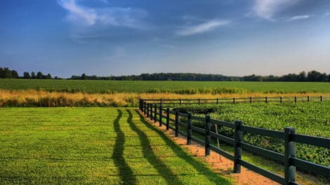 Are you Bored? Buy Rural Land.