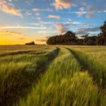 Avoid Residential Agents When Selling Rural Land