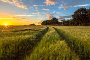 Avoid Residential Agents When Selling Rural Land