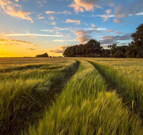 Avoid Residential Agents When Selling Rural Land