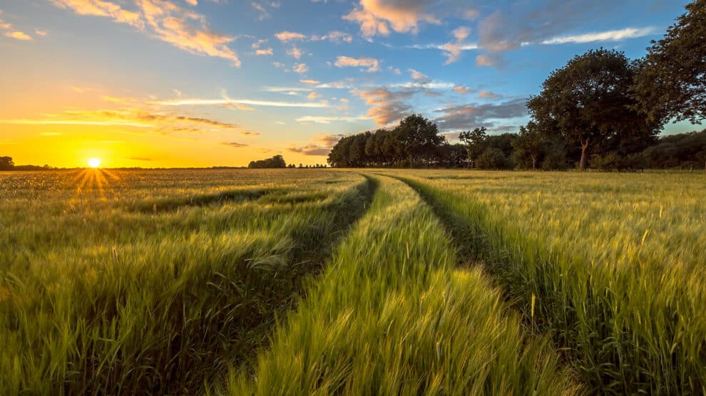 Avoid Residential Agents When Selling Rural Land