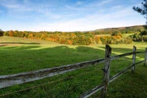 Be Careful When Buying Family Land