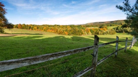 Be Careful When Buying Family Land