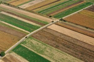 Beyond Ag Credit: Exploring Unconventional Financial Arrangements for Agribusiness
