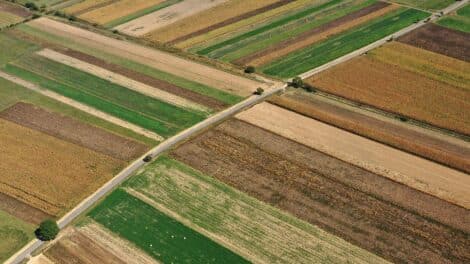 Beyond Ag Credit: Exploring Unconventional Financial Arrangements for Agribusiness