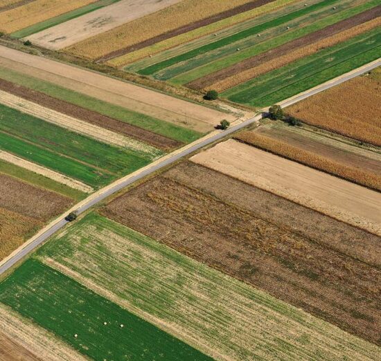Beyond Ag Credit: Exploring Unconventional Financial Arrangements for Agribusiness