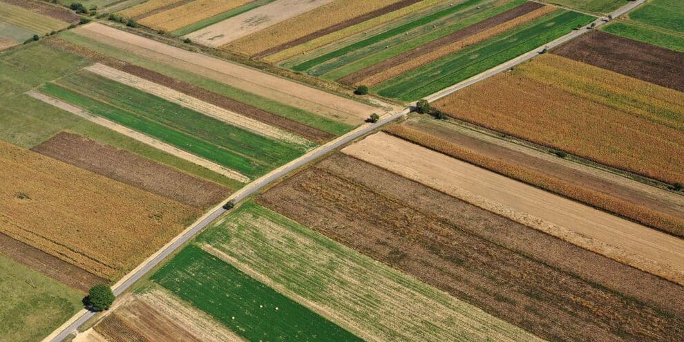 Beyond Ag Credit: Exploring Unconventional Financial Arrangements for Agribusiness