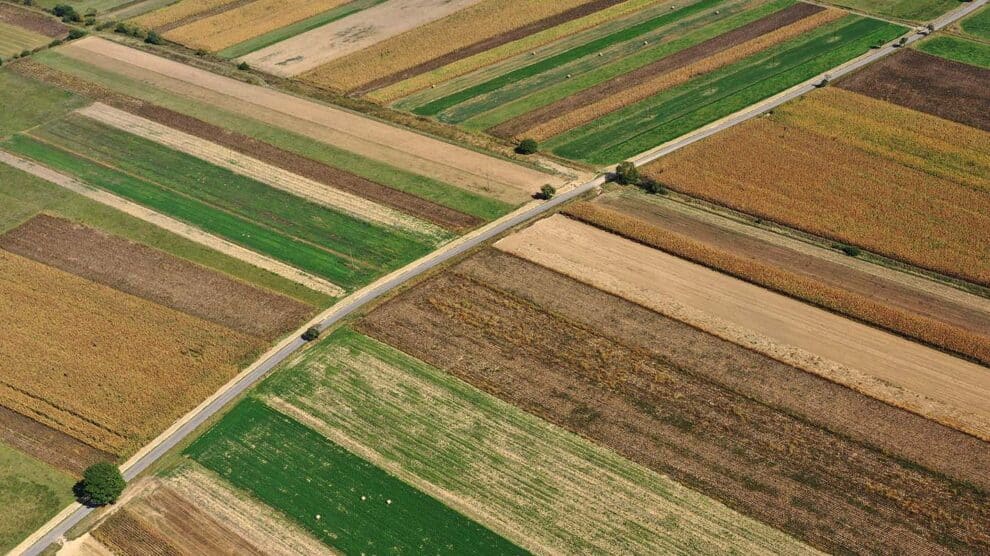 Beyond Ag Credit: Exploring Unconventional Financial Arrangements for Agribusiness