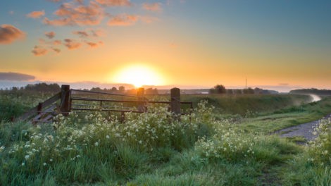 Buying and Holding Rural Land is a Good Strategy