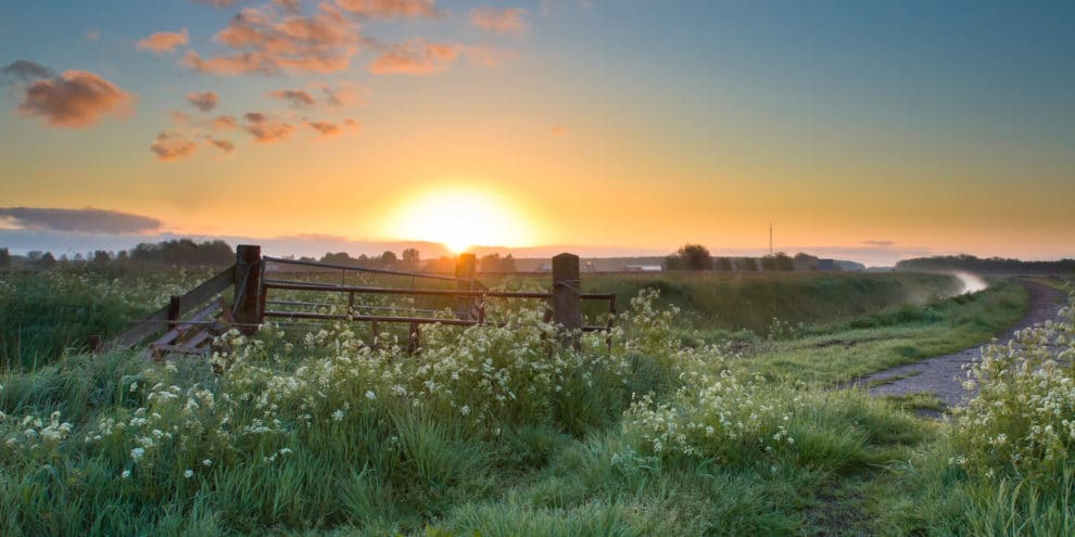 Buying and Holding Rural Land is a Good Strategy