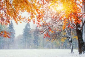 Buying Land During the Holiday Season is a Smart Move