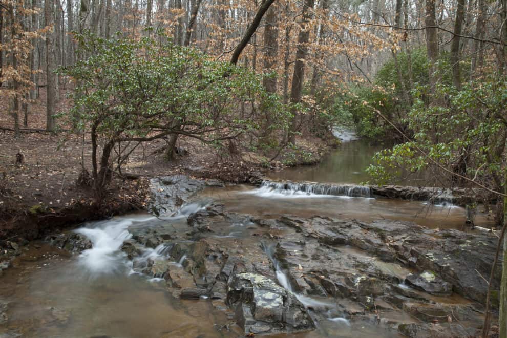 Callaway Estate A Family's Commitment to Land Stewardship LANDTHINK