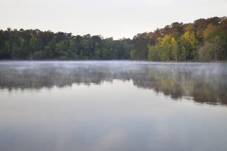 Callaway Estate A Family's Commitment to Land Stewardship LANDTHINK