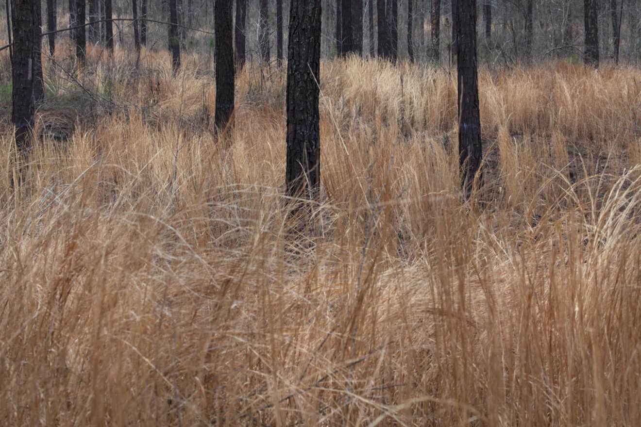 Callaway Estate A Family's Commitment to Land Stewardship LANDTHINK