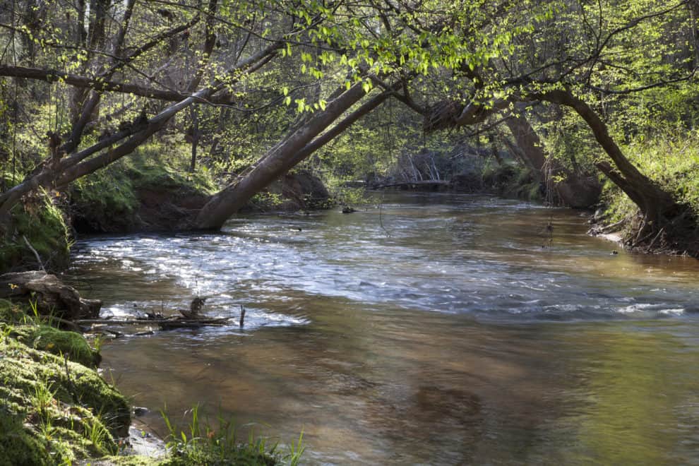 Callaway Estate A Family's Commitment to Land Stewardship LANDTHINK
