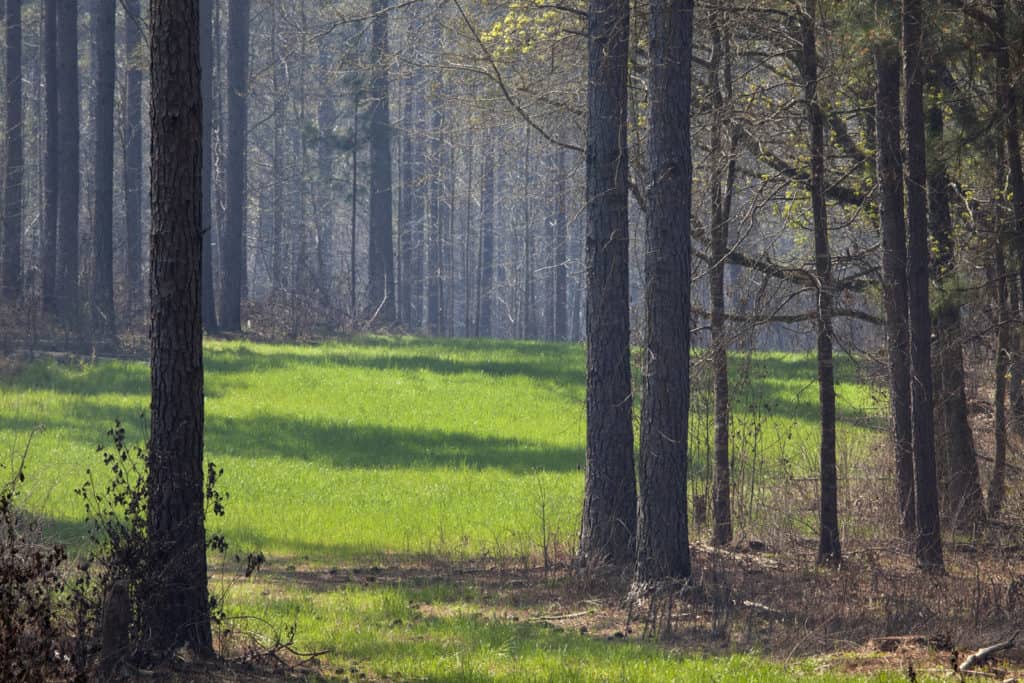 Callaway Estate A Family's Commitment to Land Stewardship LANDTHINK