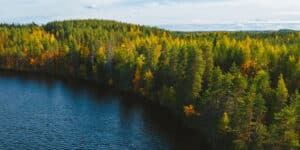 Land Closings: Can I Close a Deal Alone?