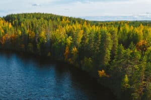 Land Closings: Can I Close a Deal Alone?