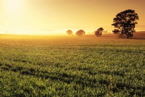 2 Tax Deferral Strategies to Capitalize on Farmland Trends