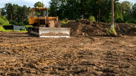 Clearing Land