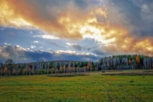 Why the Coldest Months Can Bring the Hottest Land Deals