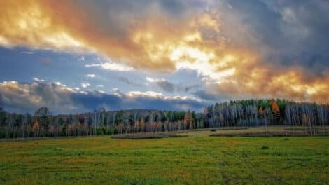 Why the Coldest Months Can Bring the Hottest Land Deals