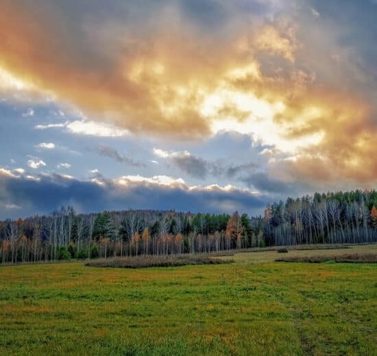 Why the Coldest Months Can Bring the Hottest Land Deals