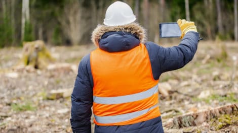 What Does a Consulting Forester Do?