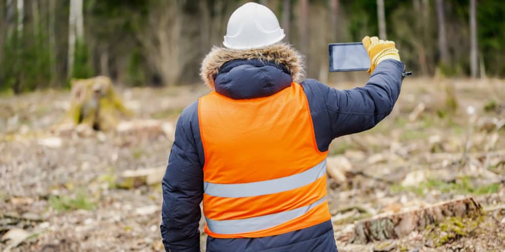 What Does a Consulting Forester Do?