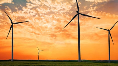 Could Wind Farming Make Your Land More Productive?