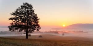 Use Creative Strategies to Find Good Land Deals