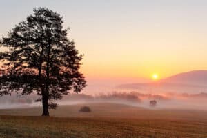 Use Creative Strategies to Find Good Land Deals