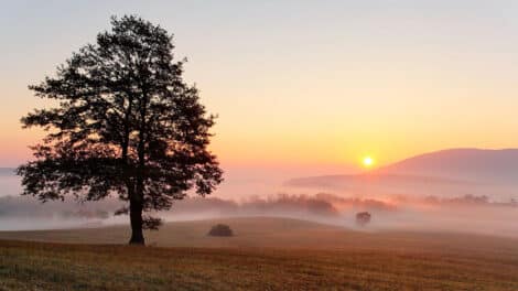Use Creative Strategies to Find Good Land Deals