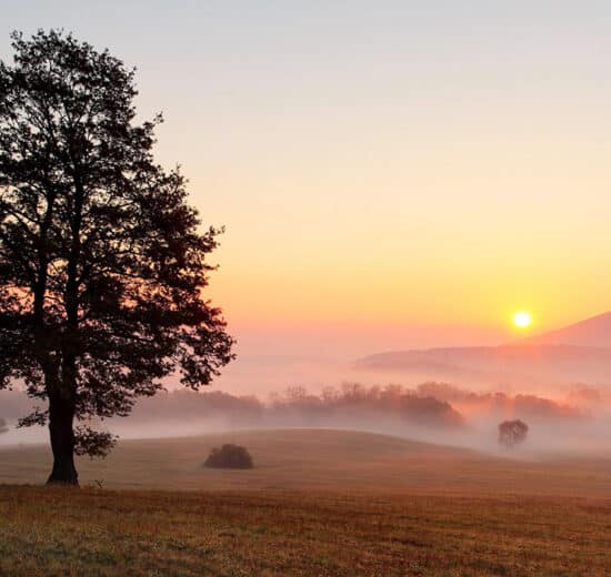 Use Creative Strategies to Find Good Land Deals