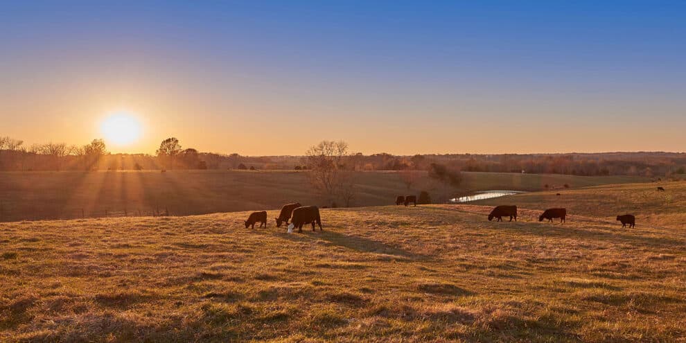 Understanding Deeded vs. Non-Deeded Acres: A Guide for Ranch Buyers