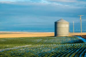 Top 4 Ways to Deepen Your Connection to Our Food System