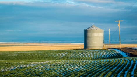 Top 4 Ways to Deepen Your Connection to Our Food System