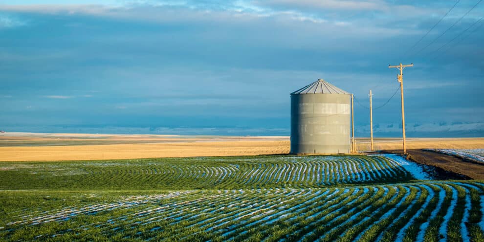 Top 4 Ways to Deepen Your Connection to Our Food System