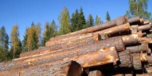 Delivered Log Prices in the Northwest versus Stumpage in the U.S. South