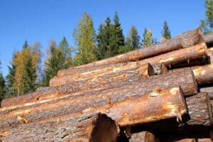 Delivered Log Prices in the Northwest versus Stumpage in the U.S. South