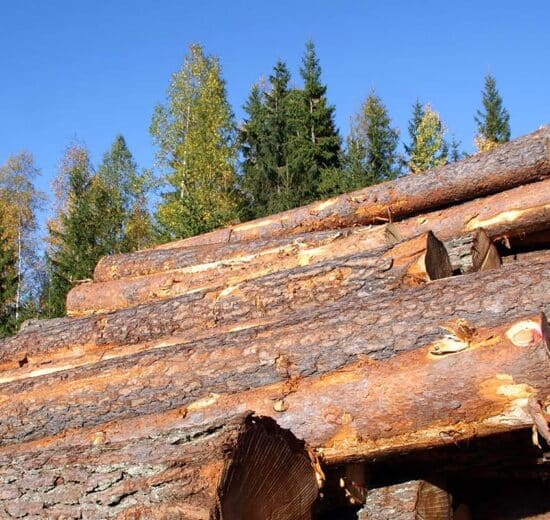 Delivered Log Prices in the Northwest versus Stumpage in the U.S. South