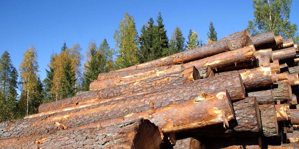 Delivered Log Prices in the Northwest versus Stumpage in the U.S. South