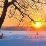 Different Types of Deeds When Buying Land