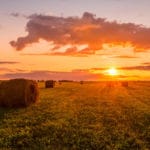 Getting Real: Do I Need a Land Agent?