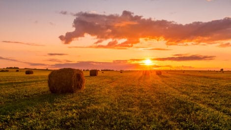 Getting Real: Do I Need a Land Agent?
