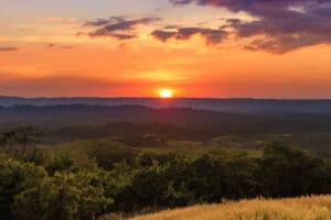Do These 5 Things Before Putting Your Land on the Market