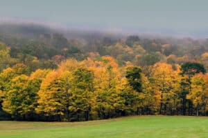 The Due Diligence Checklist Every Land Investor Should Complete Before Closing